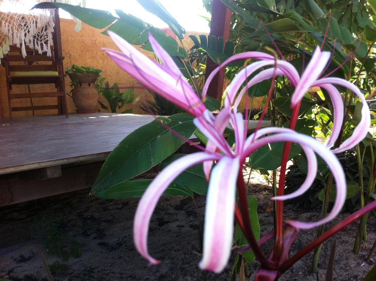 Casa Do Jardim Bed & Breakfast Canoa Quebrada Eksteriør bilde